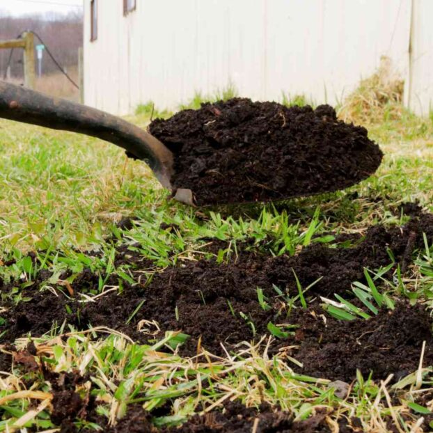 fresh topsoil on shovel