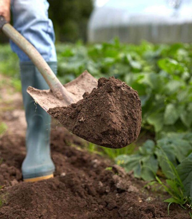 adding soil to a garden